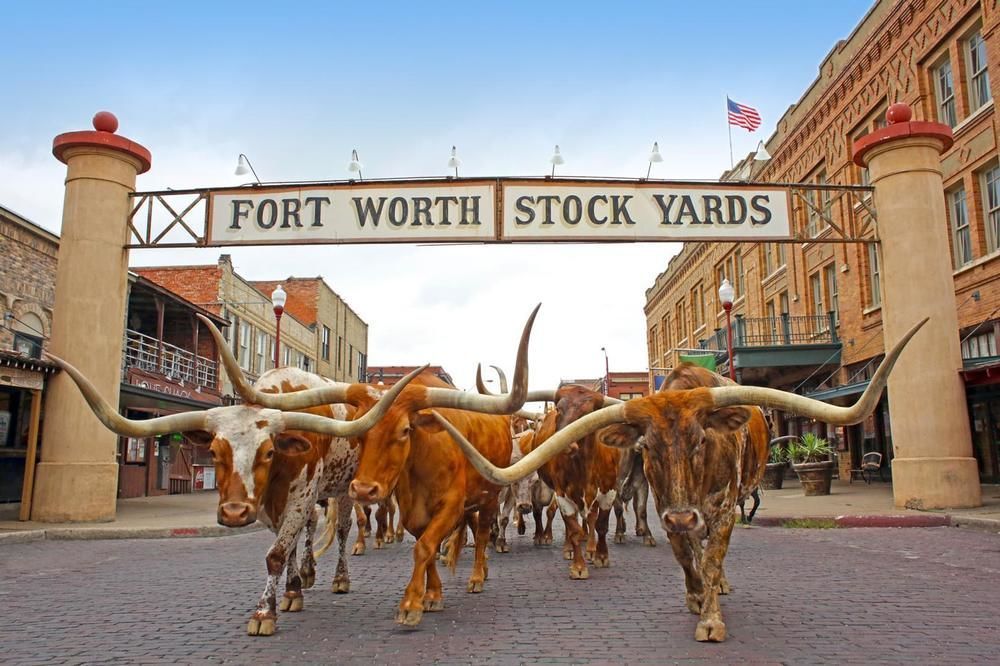 Scottish Inns Fort Worth Exterior foto